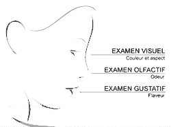 Les 3 phases de la dégustation